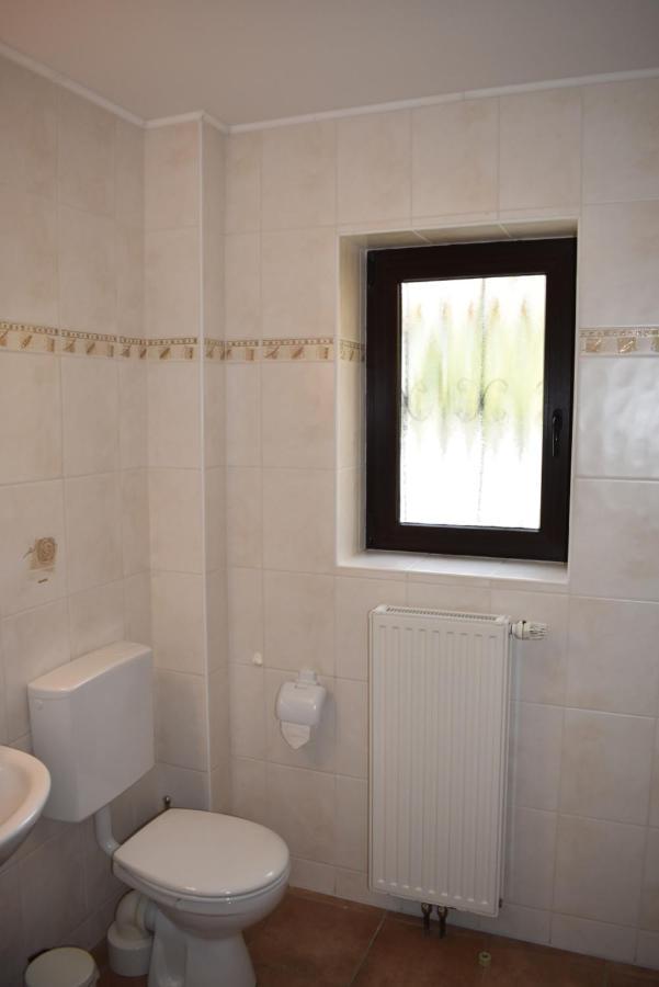Pension Zur Schleuse Garni Am Elbe Luebeck - Kanal In Witzeeze Exteriör bild